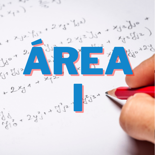 imagen área 1