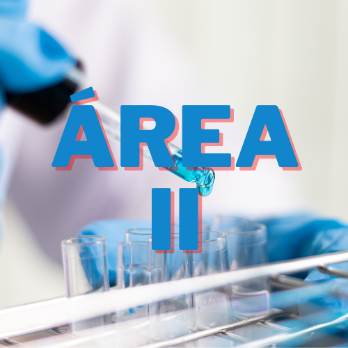 imagen área 2