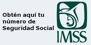 ConsultaIMSS